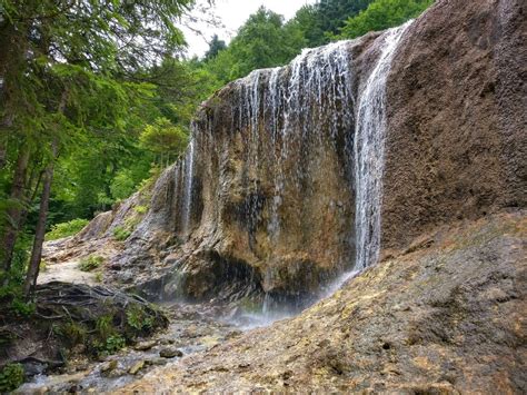 obiective turistice vama buzaului|Cascada Urlătoarea și Valea Zimbrilor 